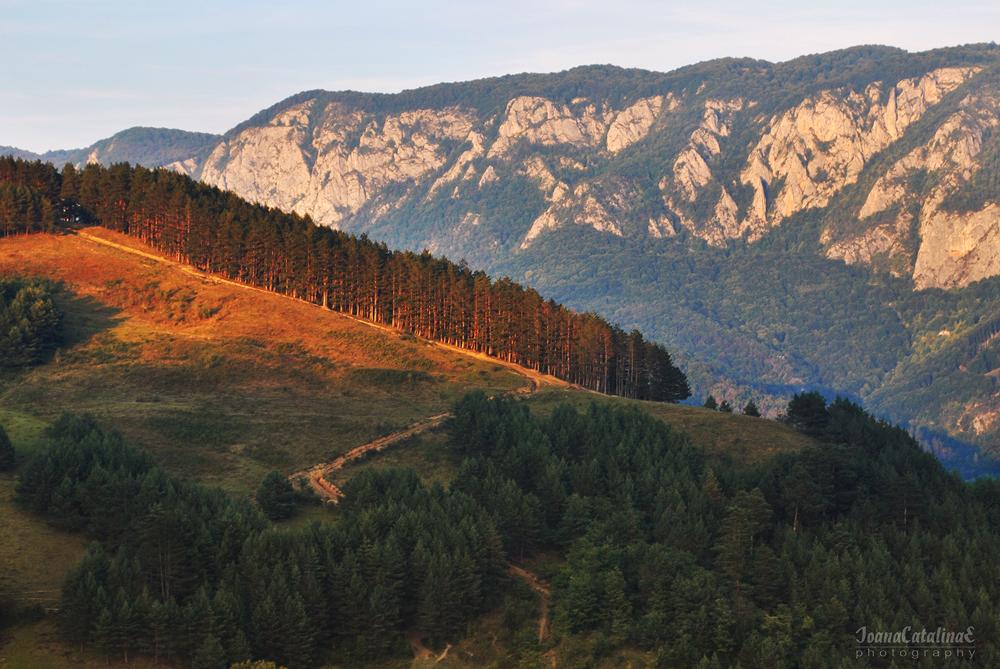 Dumesti & Trascau Mountains Romania 12