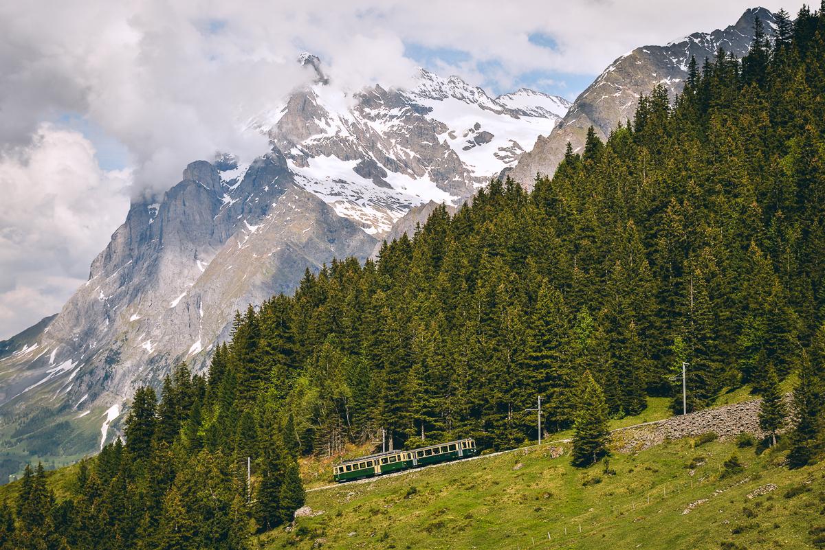 Grindelwald Switzerland 66