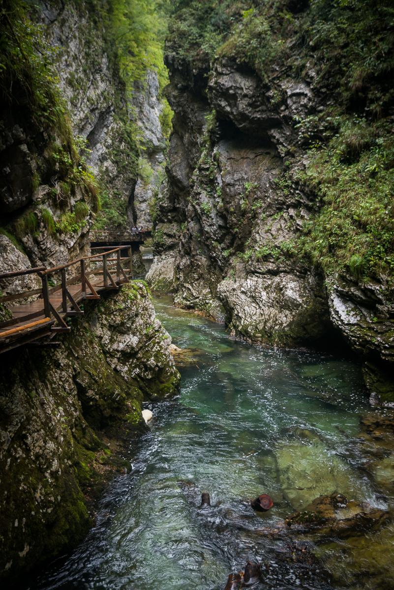 BledLjubliana & Vintgar Gorge Slovenia 4