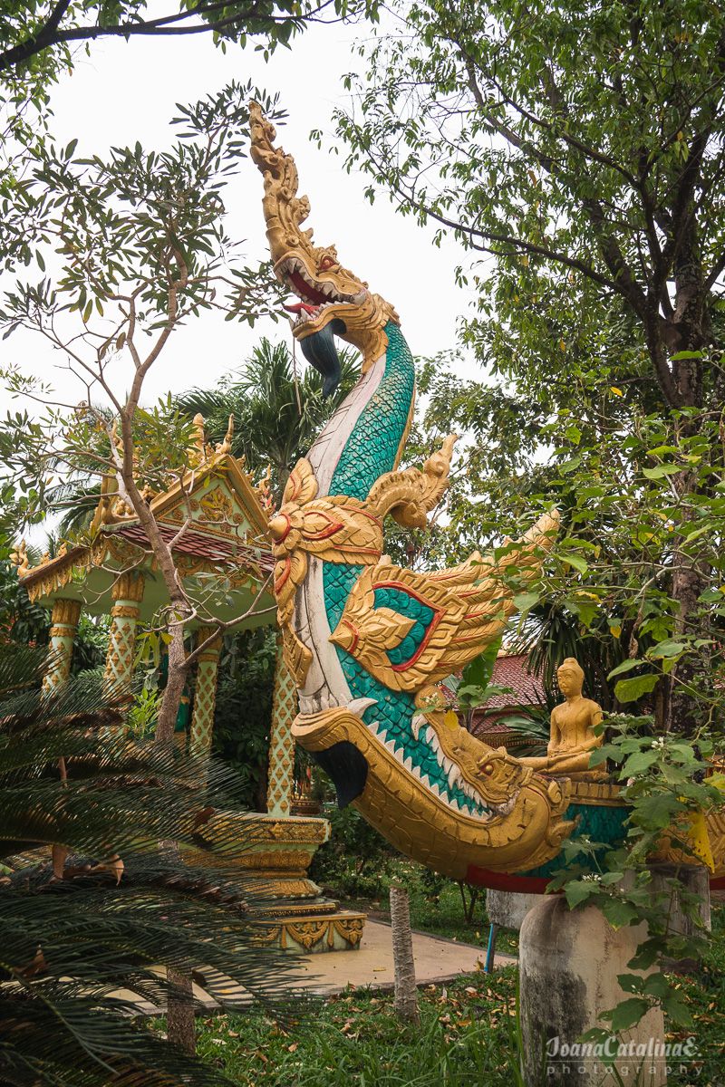Vientiane Laos 18