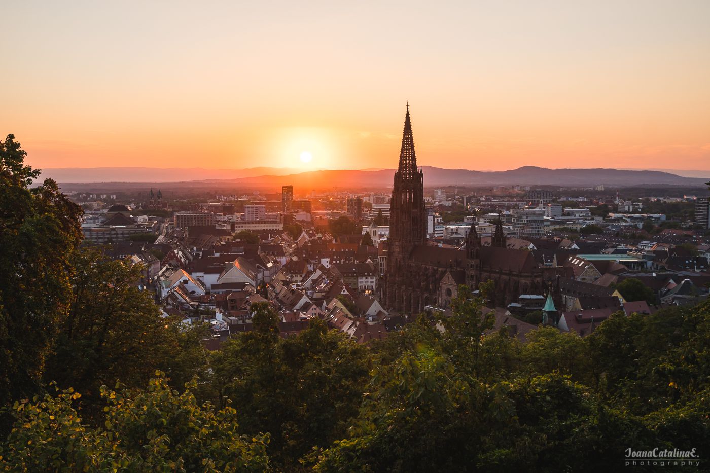 Freiburg im Breisgau Germany 15