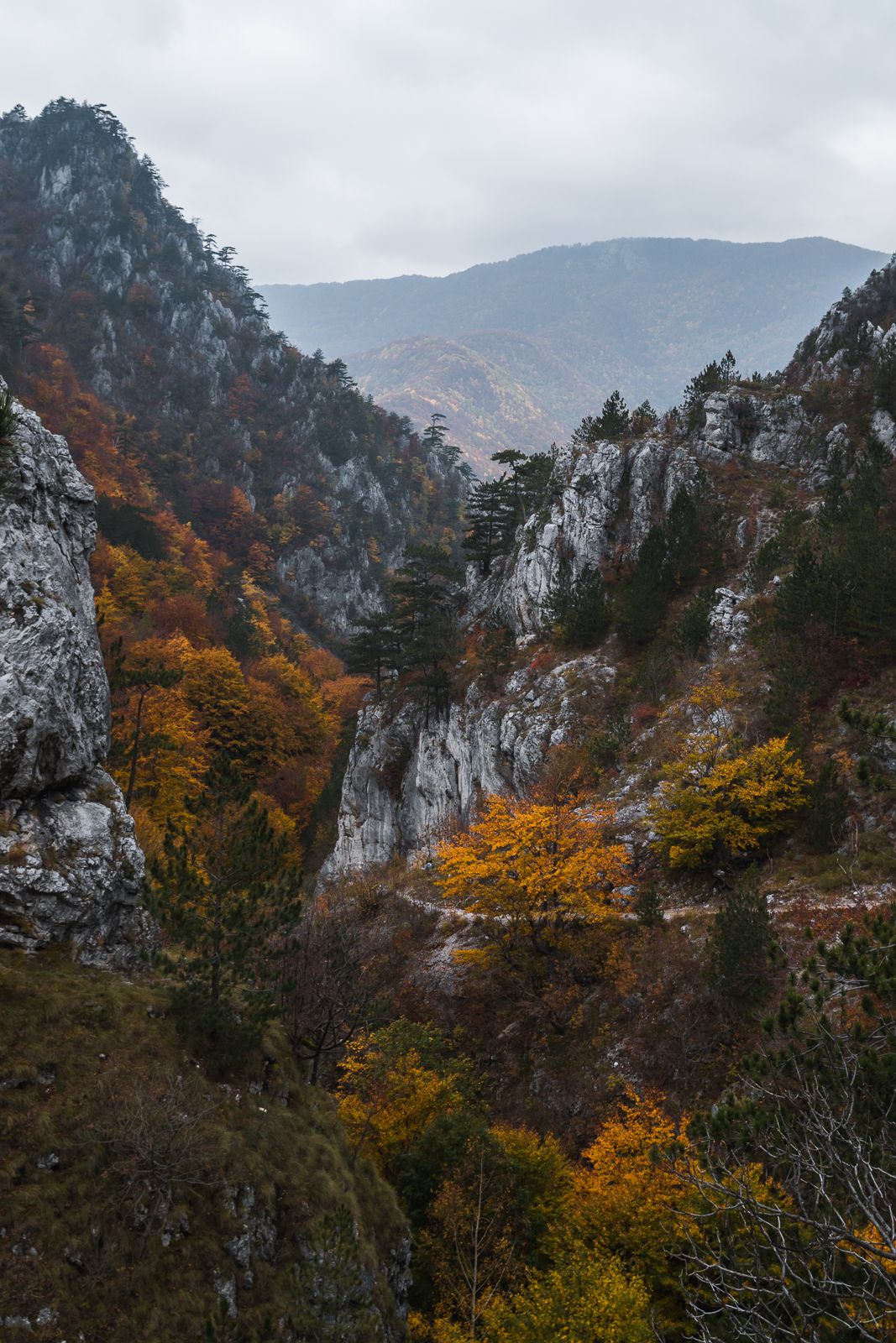 Mehedinti Mountains Romania 5