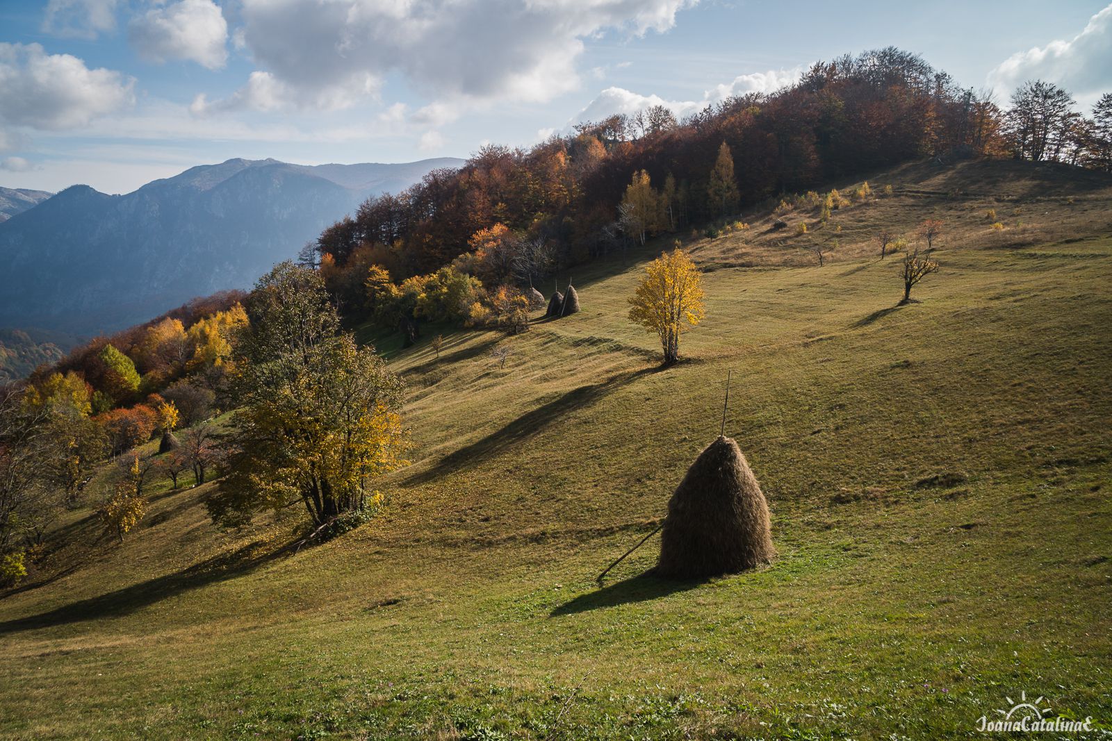 Cernei Mountains Romania 6