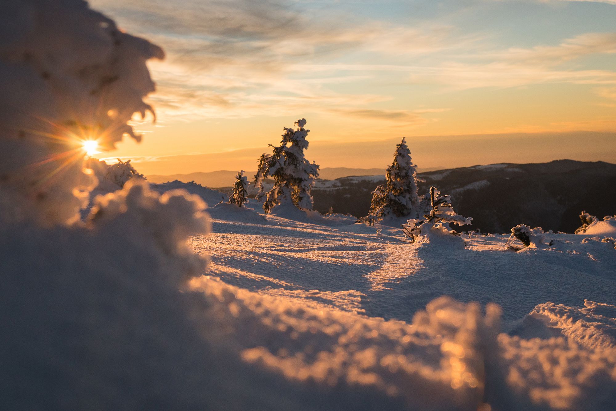 Vladeasa Mountains Romania header