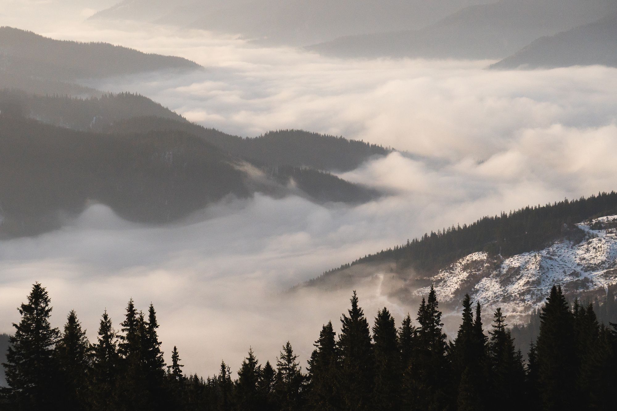 Vatra Dornei & Rarau Mountains Romania header
