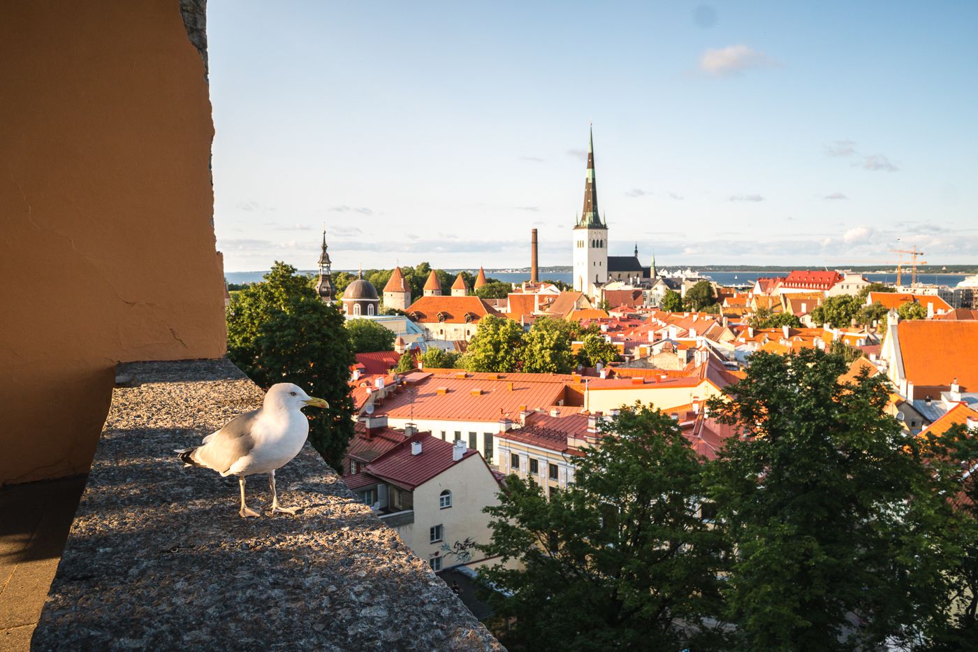 Tallinn Estonia 13
