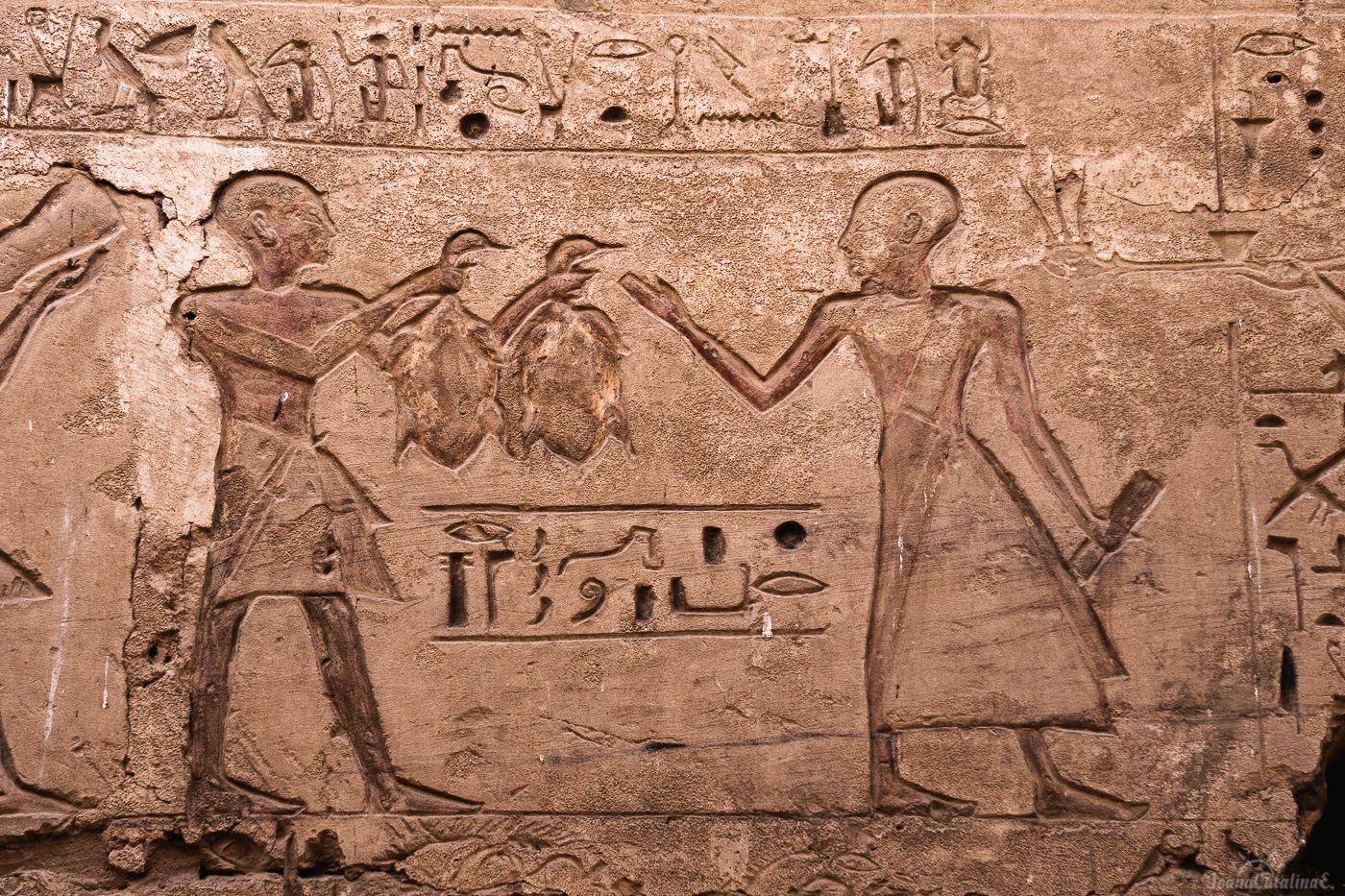 Luxor Egypt 41