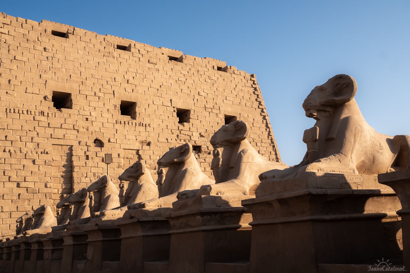 Luxor Egypt 109