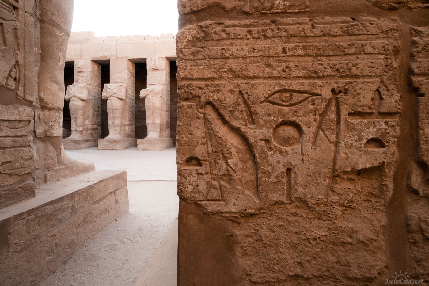 Luxor Egypt 114